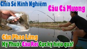 Kinh nghiệm câu cá mương hiệu quả