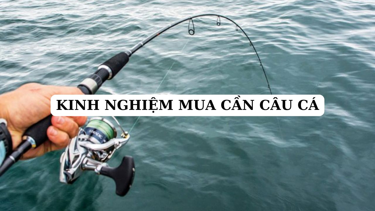 Top 5 kinh nghiệm mua cần câu cá phù hợp cho người mới