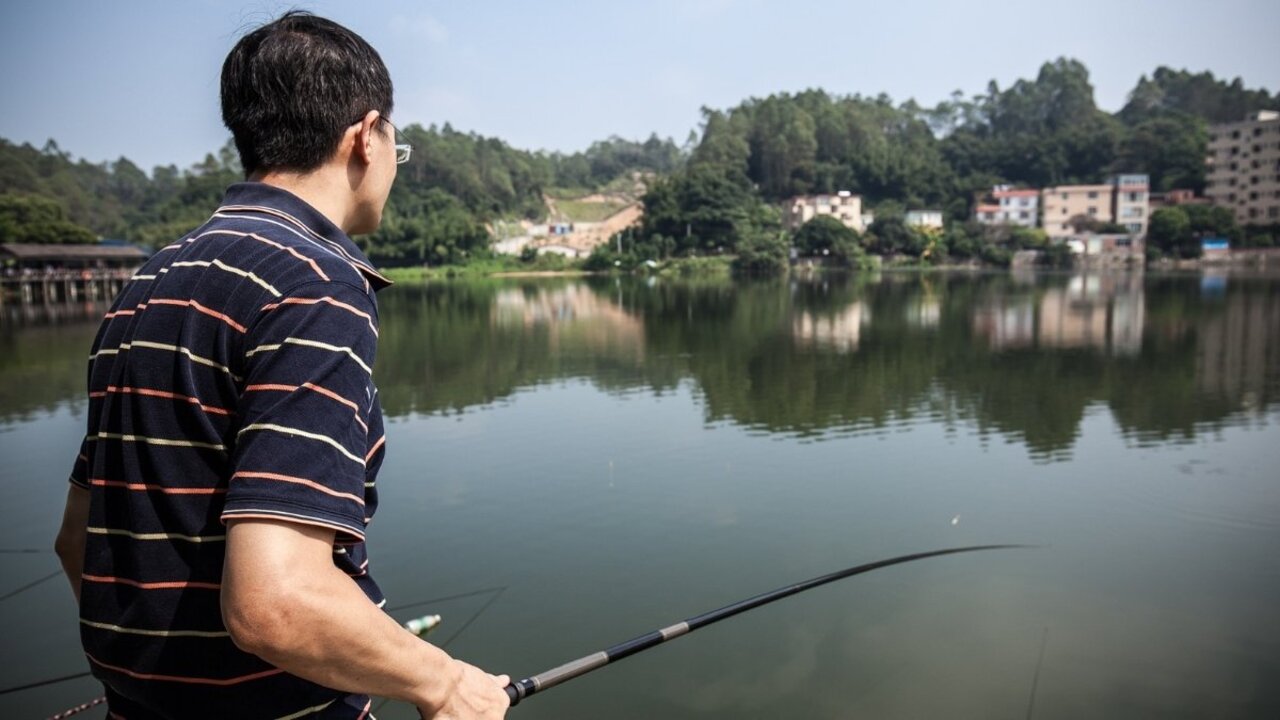 Kỹ thuật câu lục là một trong những kinh nghiệm câu cá mè Vinh được nhiều người áp dụng