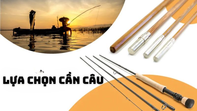 Lựa chọn cần câu phù hợp để bắt cá dễ dàng hơn